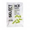 Охолоджуючий пакет SELECT Ice Pack (300) one size
