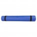 Коврик для фитнеса Stein PVC /голубой / 183x61x0.4 см
