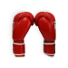 Перчатки боксерские THOR COMPETITION 12oz /Кожа /красно-белые