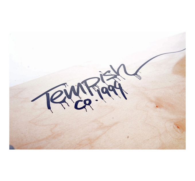 Скейтборд Tempish CARV 28,5" cruiser