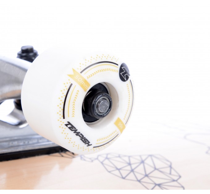 Скейтборд Tempish ONTOP