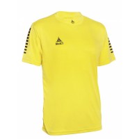 Футболка SELECT Pisa player shirt s/s (029) жовто/чорний