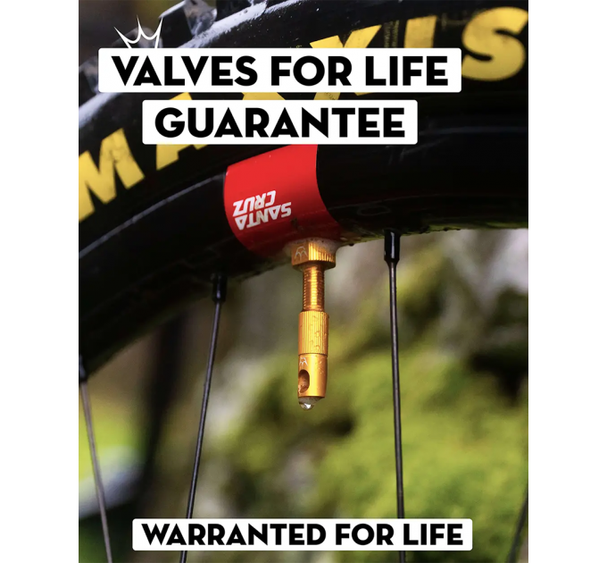 Ніпелі Peaty's x Chris King Tubeless Valves, 42mm, Black
